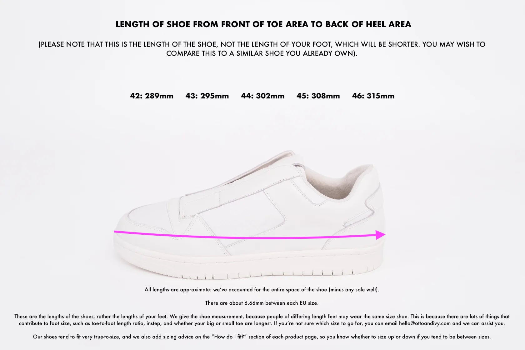 Measurement diagram displaying European sizes  lengths of large  womens shoes in size 42 43 44 45 46