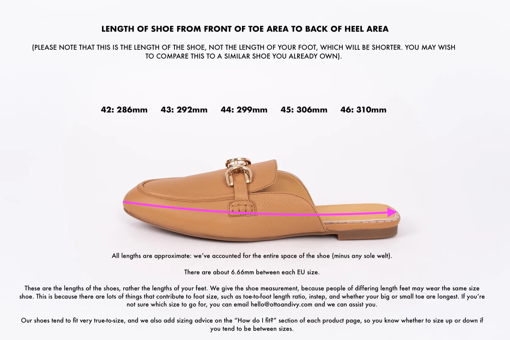Measurement diagram displaying European sizes  lengths of large  womens shoes in size 8 9 10 11 12